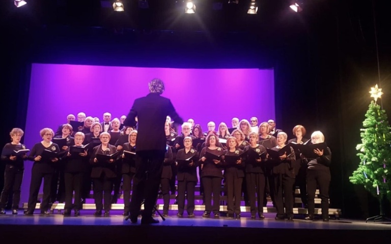 CONCERT CORAL SELLARES